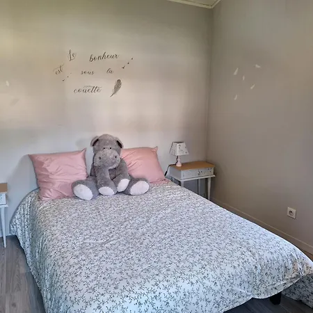 Maison Cosy Au Calme Avec Jardin Clos Sans Vis A Vis, Proche De Vichy, Clermont-ferrand, Riom, Holiday home