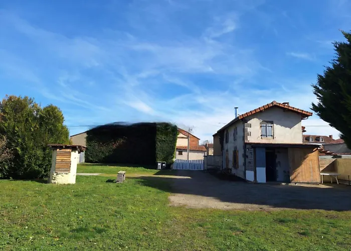 Maison Cosy Au Calme Avec Jardin Clos Sans Vis A Vis, Proche De Vichy, Clermont-ferrand, Riom, Holiday home