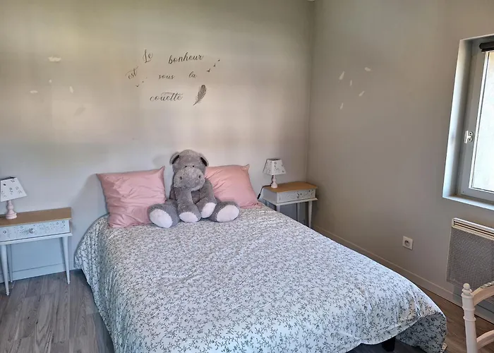 Maison Cosy Au Calme Avec Jardin Clos Sans Vis A Vis, Proche De Vichy, Clermont-ferrand, Riom, Holiday home